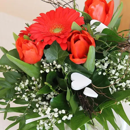 Haus Knoop - Whg 2 * Cismar